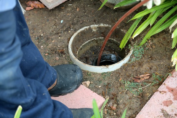 Trustworthy Delridge septic line repair in WA near 98106