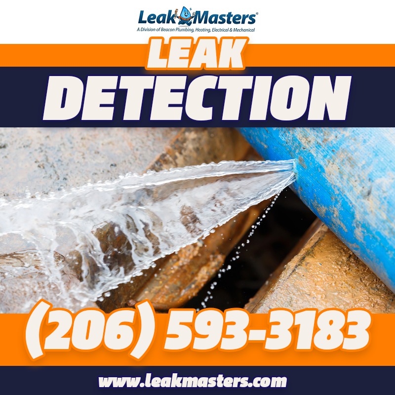 Water Leak Detection-Tacoma-WA